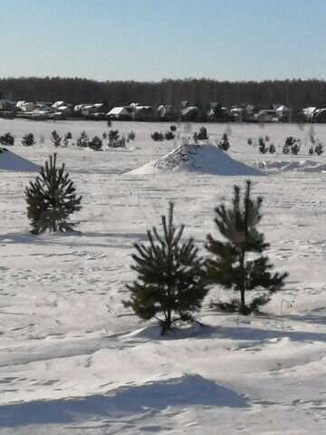 Участок 6,3 сот. (ИЖС)