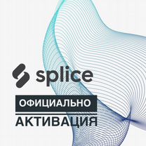 Splice Sample Packs 2024 новая подписка