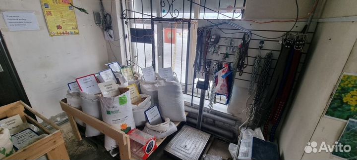 Семена горчицы 1 сорт