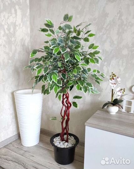 Искусственное дерево Фикус