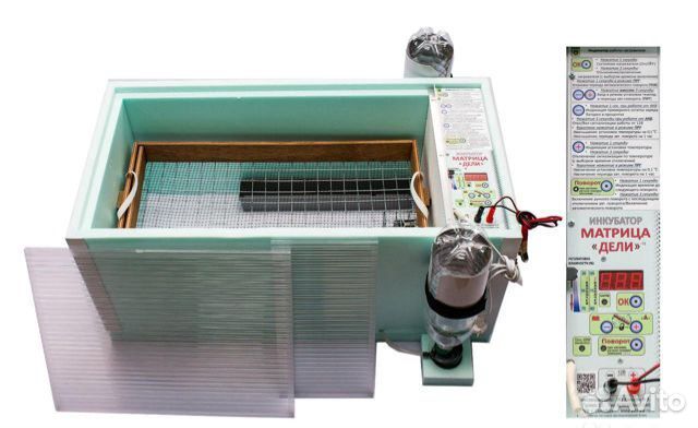 Инкубатор Блиц Матрица Дели 72