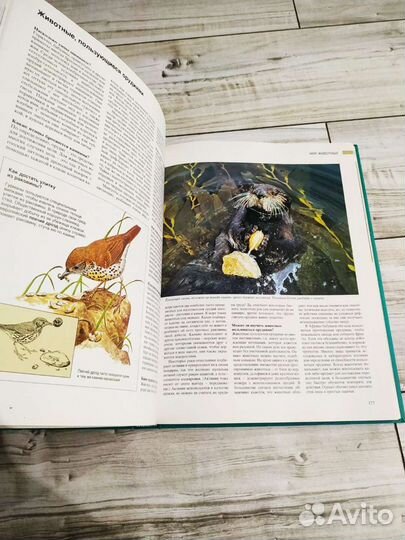 Большая книга Азбука природы Ридерз Дайджест