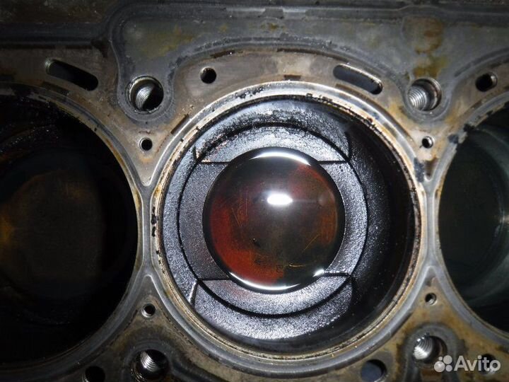 Поршень Volkswagen Golf plus BSE 2008