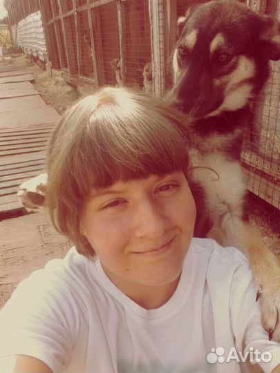 Зоопсихолог кошки, собаки