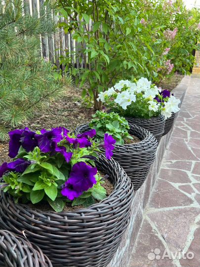 Кашпо для цветов 12литров