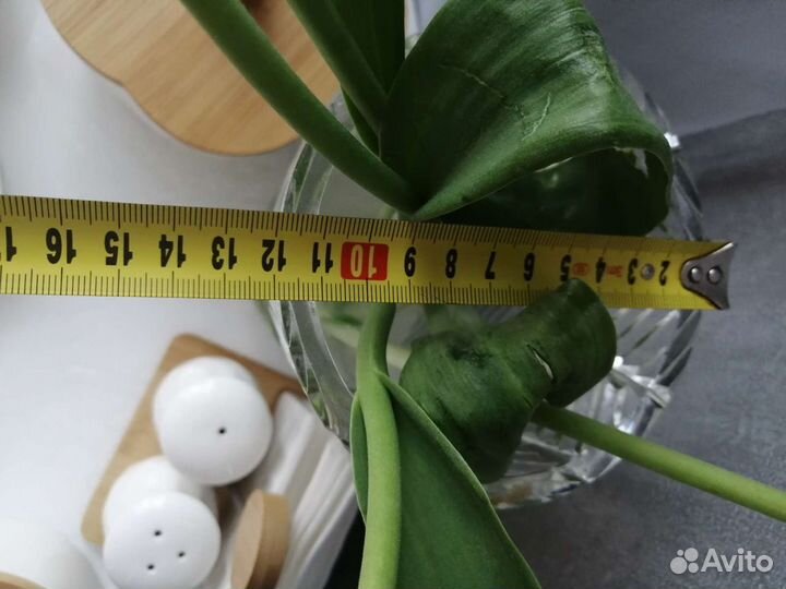 Ваза для цветов