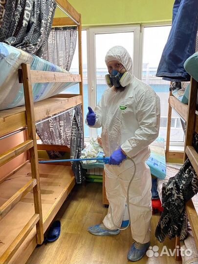 Уничтожение насекомых