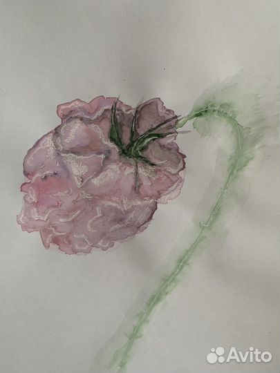 Акварельные картины