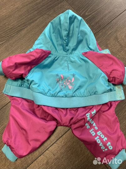 Одежда для собак