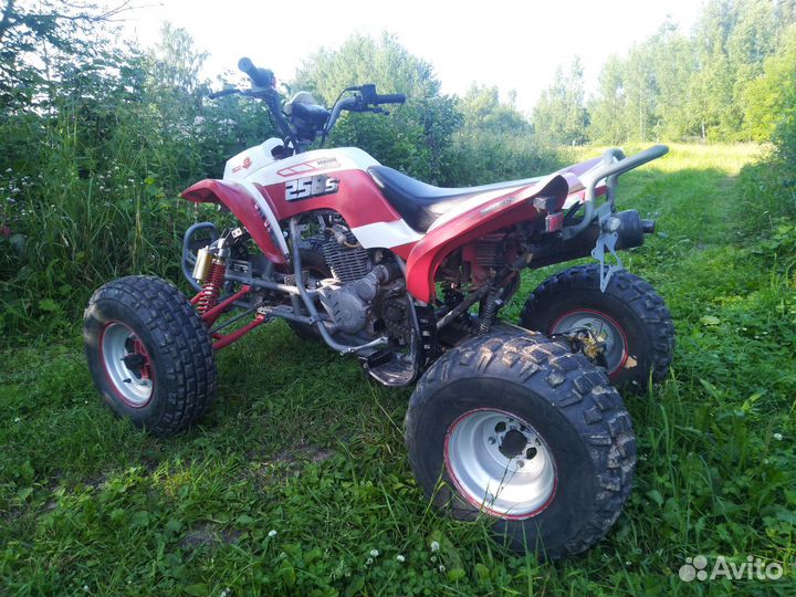 Irbis ATV250S