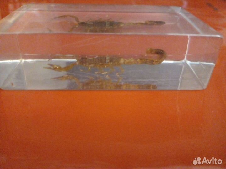 Фигурка Скорпион