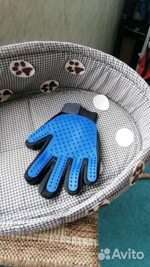 Кошачьи принадлежности