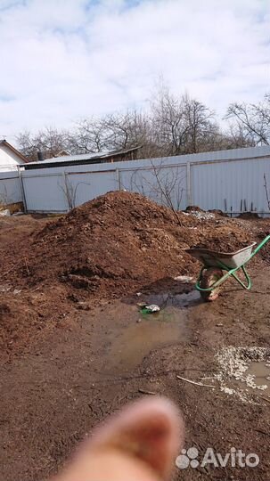 Куриный помет, навоз