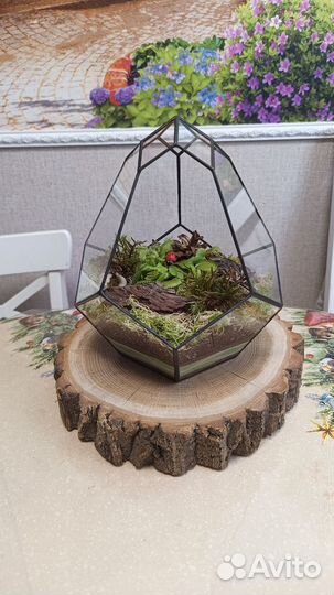 Флорариум с хищниками, подарок, декор
