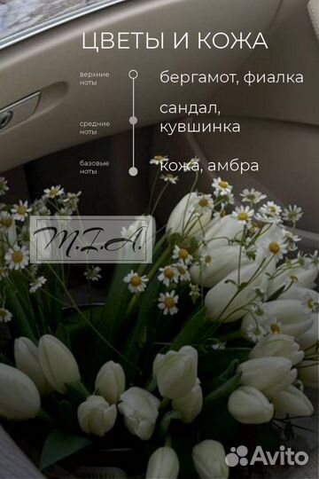 Автодиффузор