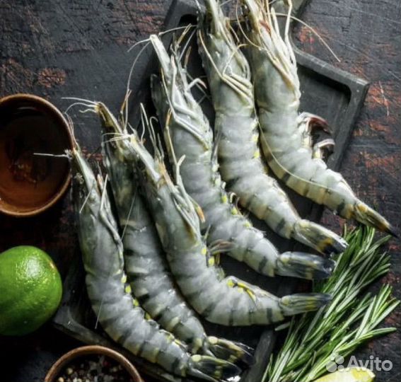 Тигровые креветки