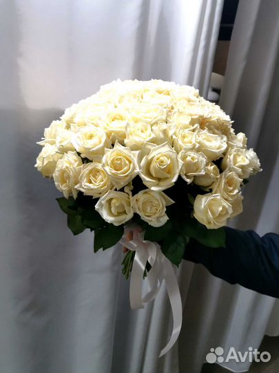 Букет роз. Розы 101 шт