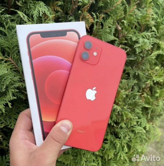 iPhone 12, 256 ГБ