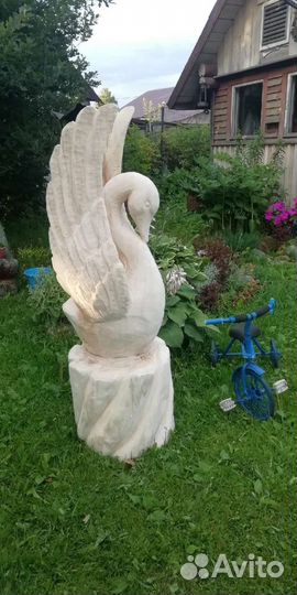 Лебедь белая