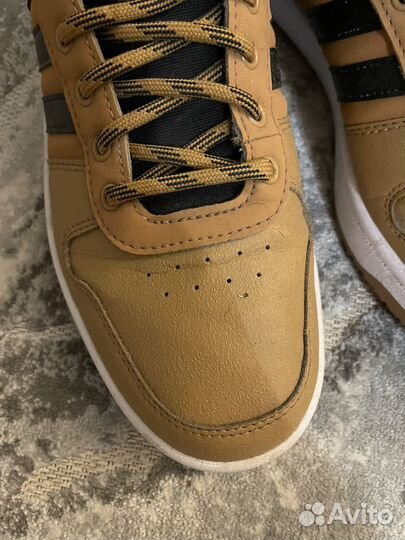 Кеды adidas hoops