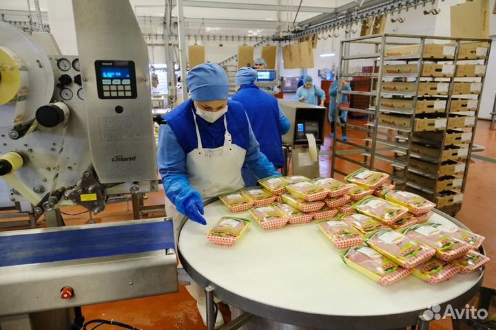 Ищем работников на птицефабрику. График - вахта