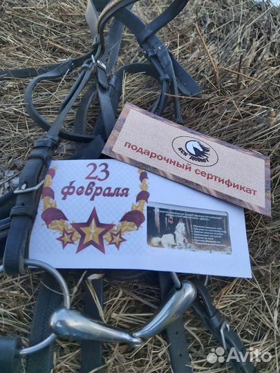 Подарочный сертификат на конную прогулку к любому