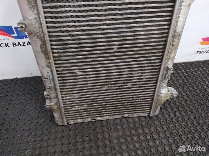 Интеркулер Daf XF105