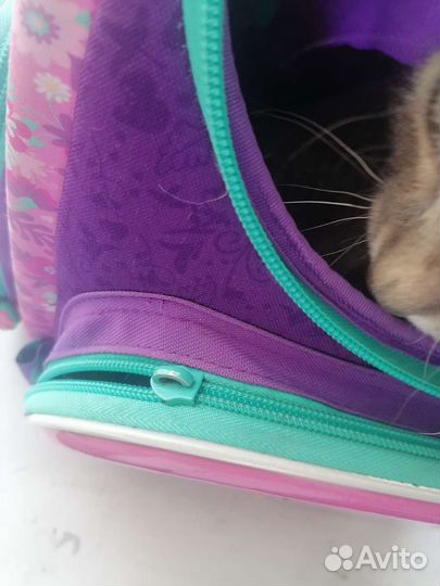 Портфель школьный