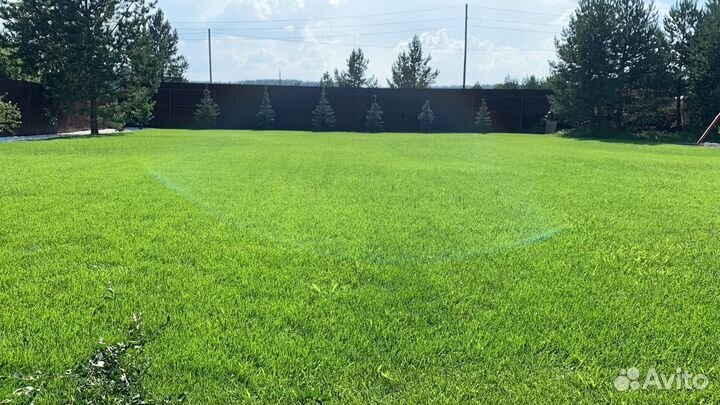 Рулонный газон под ключ