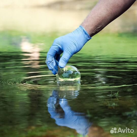 Хлорелла для водоёмов