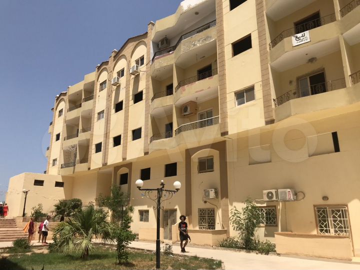 Своб. планировка, 59,6 м² (Египет)