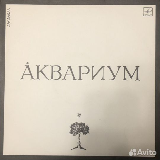 Аквариум EX+/EX+