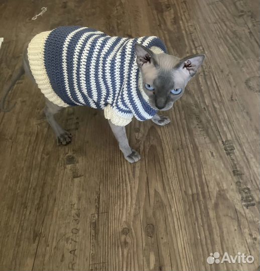 Одежда для кошек и собак