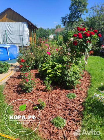 Мульча кора лиственницы