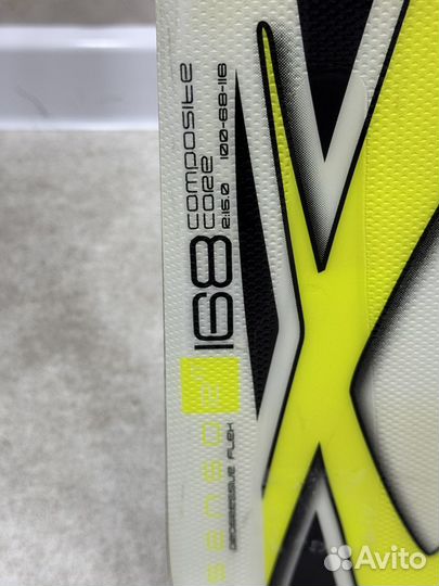 Горные лыжи