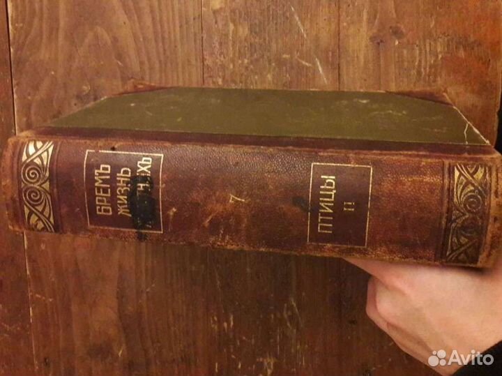 Брем А. Э. «Жизнь животных». Том 7, Птицы