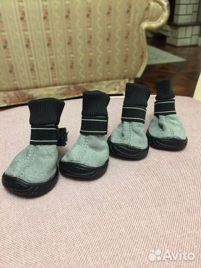 Сапожки для собак
