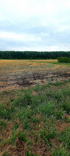 Участок 11,2 га (СНТ, ДНП)