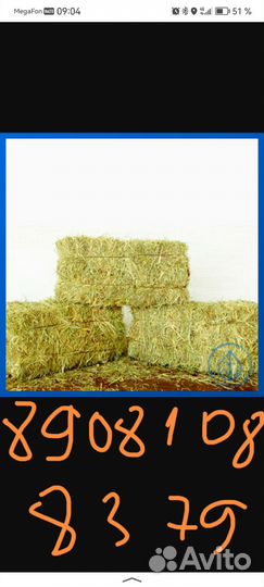 Сено в квадратных тюках