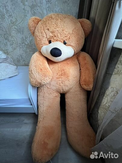 Большие плюшевые медведи