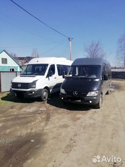 Пассажирские перевозки автобусы 17 и два 19 мест