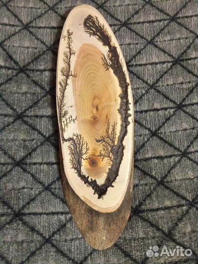 Декоративный спил на стену из дерева(черёмуха)