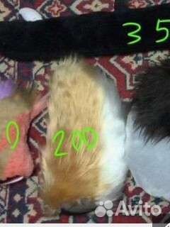 Хвост фурри