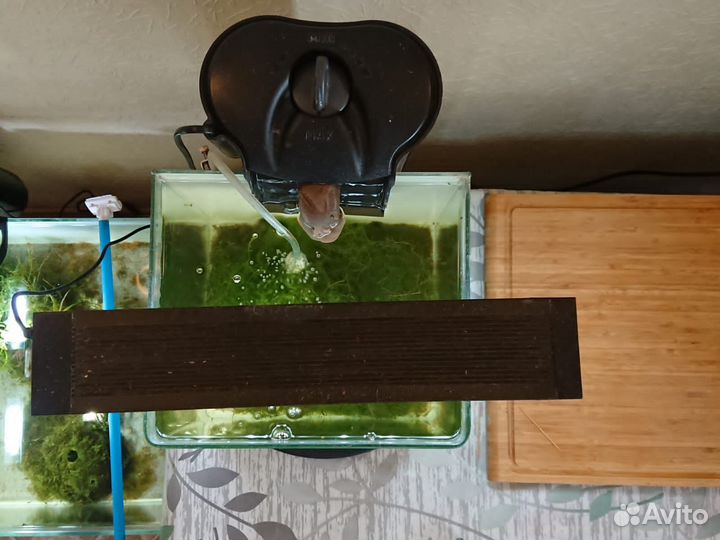 Аквариум с наполнением