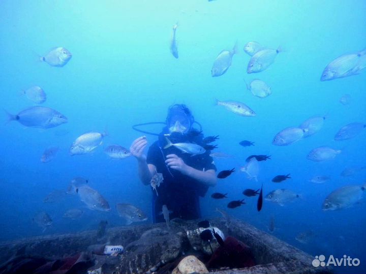 Дайвинг Сириус Адлер Сочи