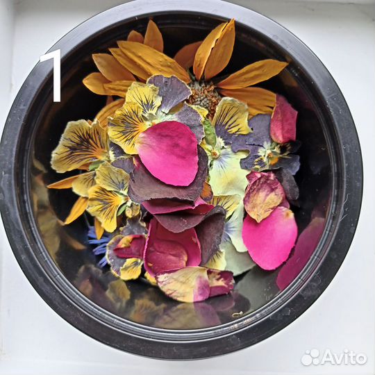 Набор сухоцветов для творчества