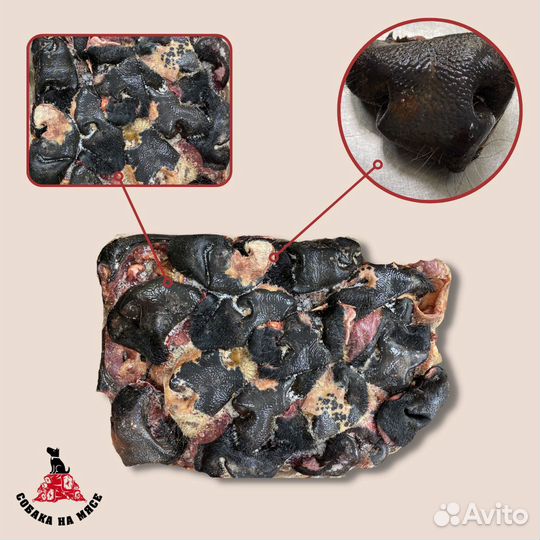 Носы говяжьи блок