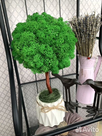 Дерево из стабилизированного мха