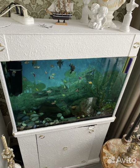 Аквариум с тумбой 130 литров