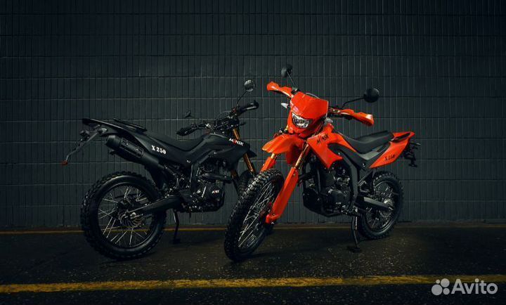 Мотоцикл minsk X 250 Enduro M1NSK